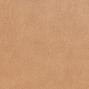 DUNES Camel 21004